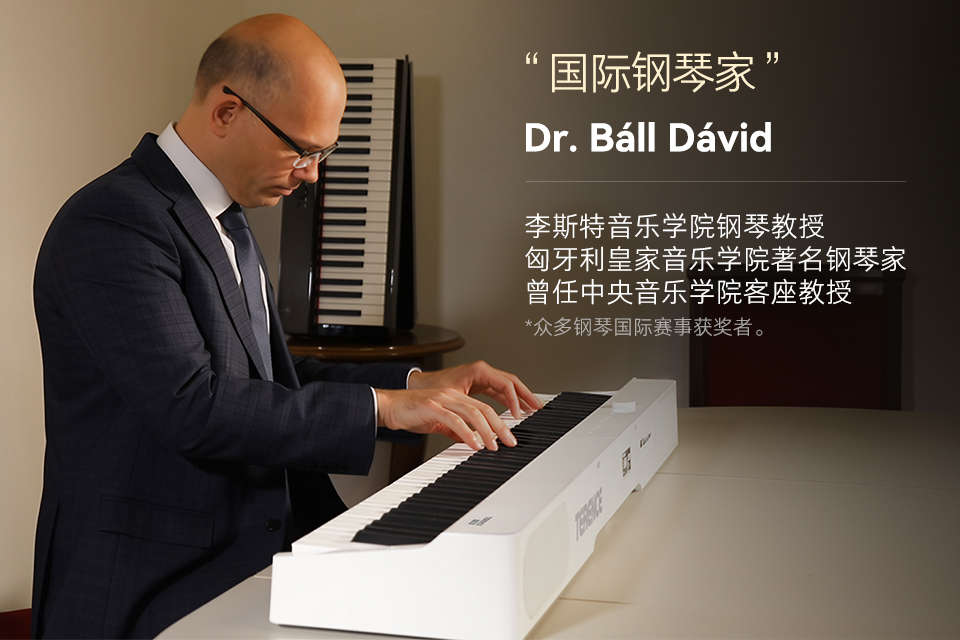 大师力荐｜匈牙利著名钢琴家 Dr. Báll Dávid 与特伦斯 V70 的专业之声